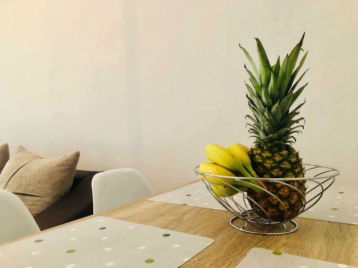 Anemos Apartment Palio PalaiónTsiflíkion Екстериор снимка